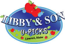Libby and Sons Logo